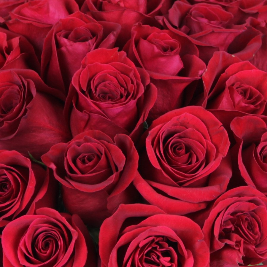 Artsy Roses ArtsyFlora - Florist NYC. Flowers - NYC Same Day Delivery.