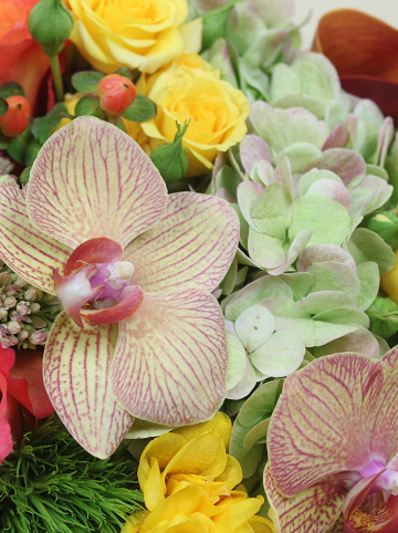 Designer&#39;s Choice