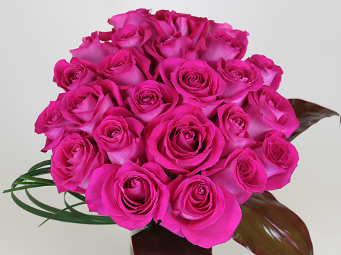 Pink Roses Classic Classic Roses by Artsy Flora.