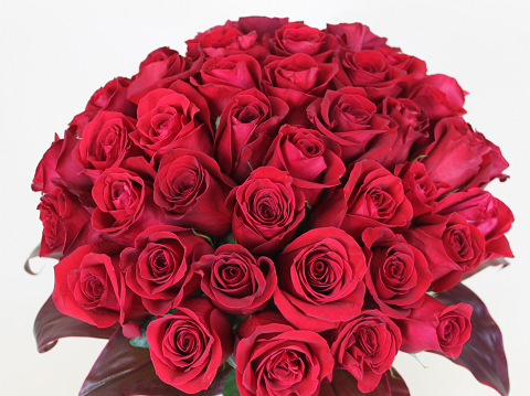 Modern Dozen Red Roses