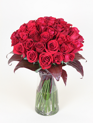 Modern Dozen Red Roses