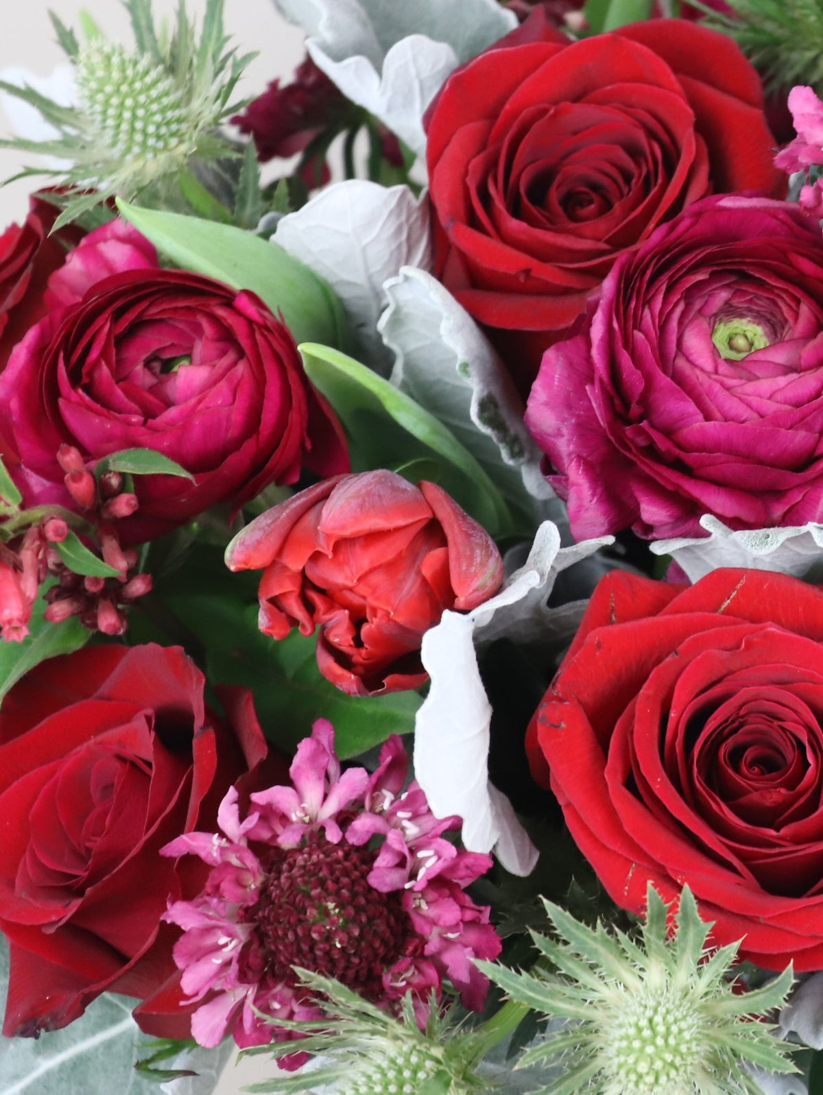 Designer&#39;s Choice