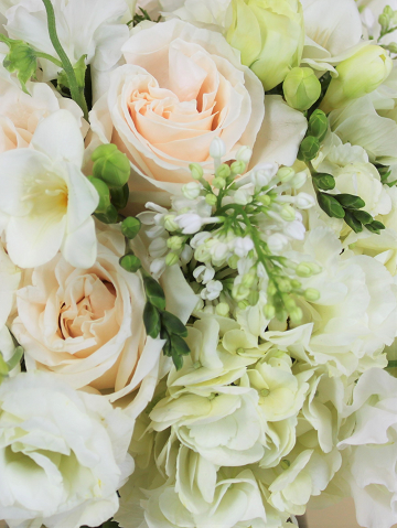 Designer&#39;s Choice