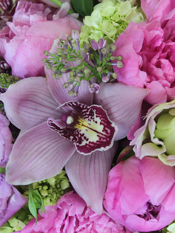 Designer&#39;s Choice