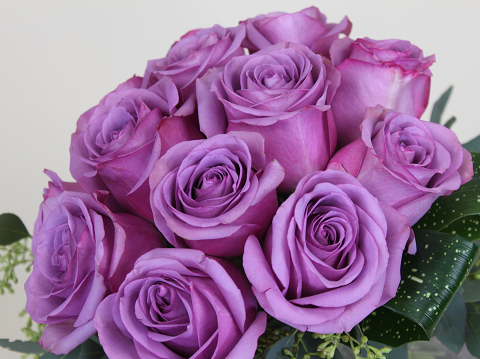 Artsy Roses Beautiful Fresh Roses from Artsy Flora- Shop our Rose Collection.